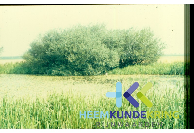 Natuur Oude Rijn Coll. G.B. Janssen (3)